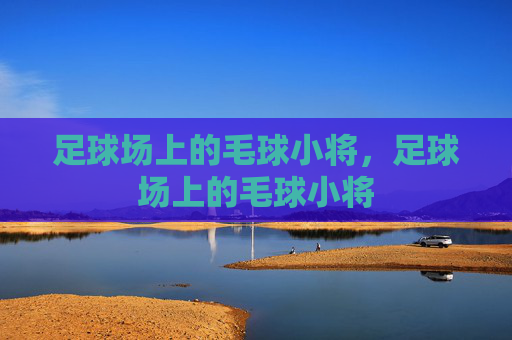 足球场上的毛球小将,足球场上的毛球小将 足球场上的毛球小将,足球场上的毛球小将