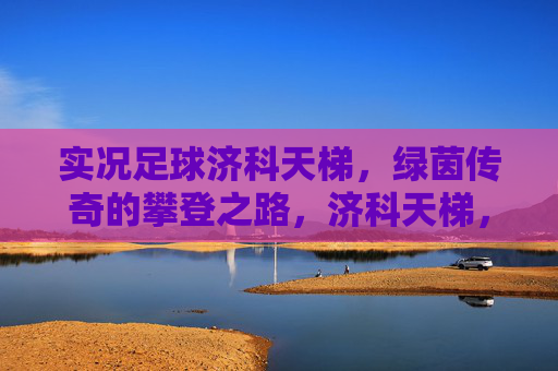 实况足球济科天梯,绿茵传奇的攀登之路,济科天梯,绿茵传奇的攀登之路 实况足球济科天梯,绿茵传奇的攀登之路,济科天梯,绿茵传奇的攀登之路