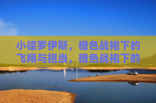 小德罗伊斯,橙色战袍下的飞翔与担当,橙色战袍下的飞翔与担当 小德罗伊斯,橙色战袍下的飞翔与担当,橙色战袍下的飞翔与担当