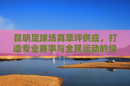 昆明足球场真草坪供应，打造专业赛事与全民运动的绿色基石，昆明足球场真草坪供应，专业赛事与全民运动的绿色基石
