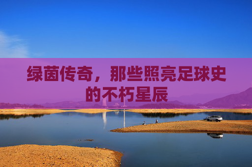 绿茵传奇，那些照亮足球史的不朽星辰