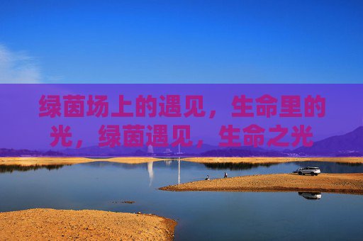 绿茵场上的遇见，生命里的光，绿茵遇见，生命之光