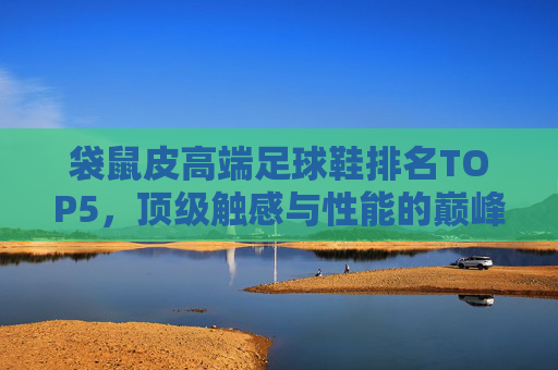 袋鼠皮高端足球鞋排名TOP5，顶级触感与性能的巅峰之选，袋鼠皮高端足球鞋TOP5，顶级触感与性能的巅峰之选