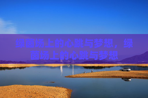 绿茵场上的心跳与梦想,绿茵场上的心跳与梦想 绿茵场上的心跳与梦想,绿茵场上的心跳与梦想