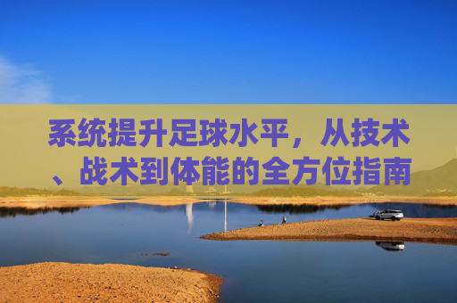 系统提升足球水平，从技术、战术到体能的全方位指南，系统提升足球水平，技术、战术、体能全方位指南