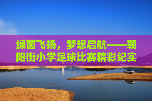 绿茵飞扬，梦想启航——朝阳街小学足球比赛精彩纪实，绿茵飞扬，梦想启航——朝阳街小学足球比赛