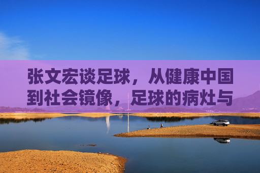 张文宏谈足球,从健康中国到社会镜像,足球的病灶与良方,张文宏谈足球,健康中国与社会镜像下的病灶与良方 张文宏谈足球,从健康中国到社会镜像,足球的病灶与良方,张文宏谈足球,健康中国与社会镜像下的病灶与良方