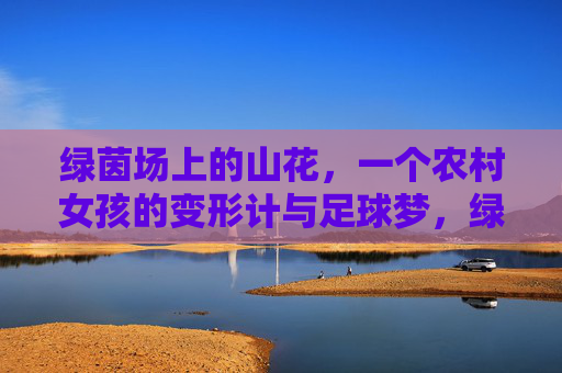绿茵场上的山花,一个农村女孩的变形计与足球梦,绿茵山花,农村女孩的变形计与足球梦 绿茵场上的山花,一个农村女孩的变形计与足球梦,绿茵山花,农村女孩的变形计与足球梦
