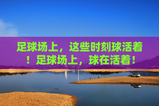 足球场上,这些时刻球活着!足球场上,球在活着! 足球场上,这些时刻球活着!足球场上,球在活着!