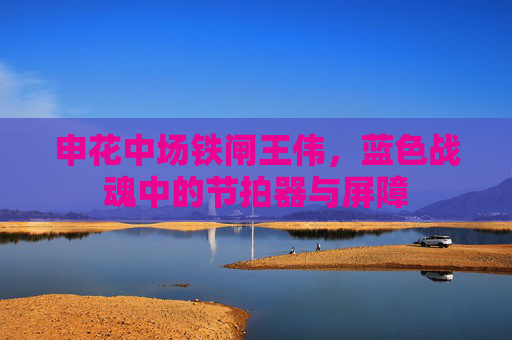 申花中场铁闸王伟,蓝色战魂中的节拍器与屏障 申花中场铁闸王伟,蓝色战魂中的节拍器与屏障