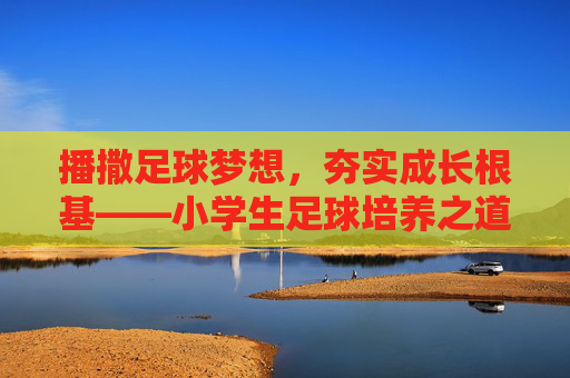 播撒足球梦想，夯实成长根基——小学生足球培养之道，播撒梦想，夯实根基，小学生足球培养