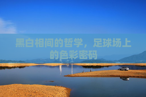 黑白相间的哲学,足球场上的色彩密码 黑白相间的哲学,足球场上的色彩密码