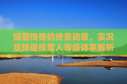 绿茵传奇的终章勋章，实况足球退役军人等级体系解析，绿茵传奇终章勋章，实况足球退役军人等级体系解析