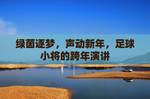 绿茵逐梦,声动新年,足球小将的跨年演讲 绿茵逐梦,声动新年,足球小将的跨年演讲