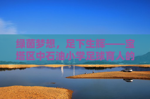 绿茵梦想，足下生辉——宝塔区中石油小学足球育人的实践与成长