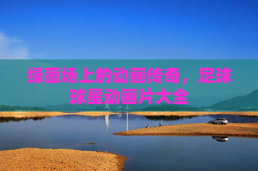 绿茵场上的动画传奇，足球球星动画片大全