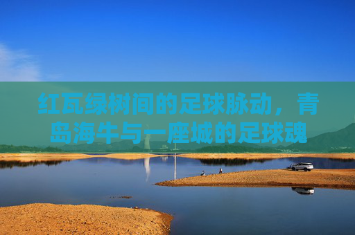 红瓦绿树间的足球脉动，青岛海牛与一座城的足球魂