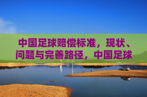 中国足球赔偿标准，现状、问题与完善路径，中国足球赔偿标准的现状、问题与完善路径