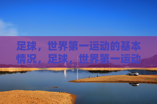 足球，世界第一运动的基本情况，足球，世界第一运动概览