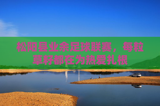松阳县业余足球联赛,每粒草籽都在为热爱扎根 松阳县业余足球联赛,每粒草籽都在为热爱扎根