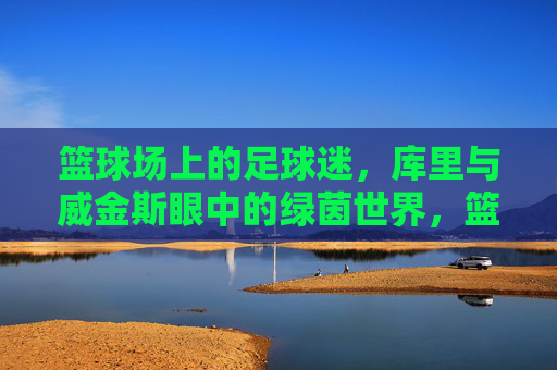 篮球场上的足球迷，库里与威金斯眼中的绿茵世界，篮球巨星库里与威金斯，绿茵世界的足球迷视角