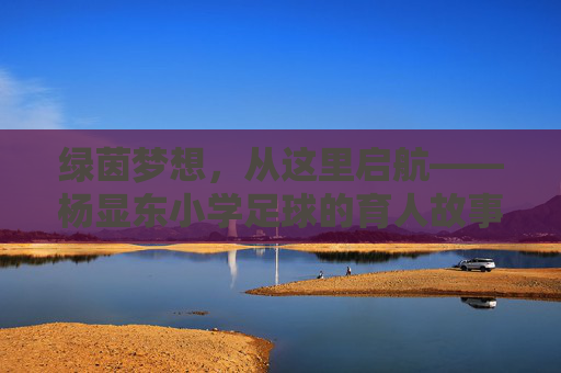 绿茵梦想，从这里启航——杨显东小学足球的育人故事，杨显东小学足球，绿茵梦想启航，育人故事新篇