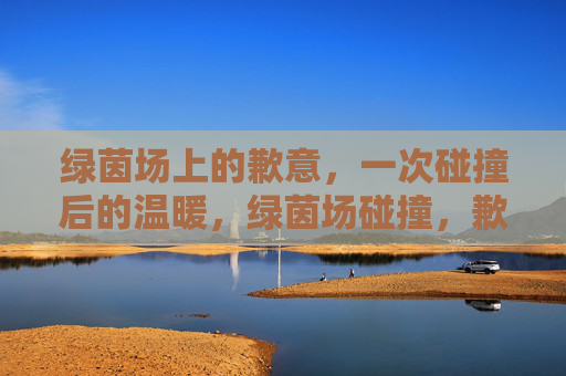 绿茵场上的歉意,一次碰撞后的温暖,绿茵场碰撞,歉意与温暖 绿茵场上的歉意,一次碰撞后的温暖,绿茵场碰撞,歉意与温暖