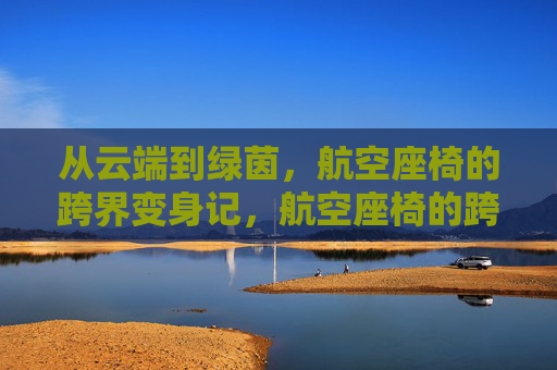 从云端到绿茵，航空座椅的跨界变身记，航空座椅的跨界变身，从云端到绿茵