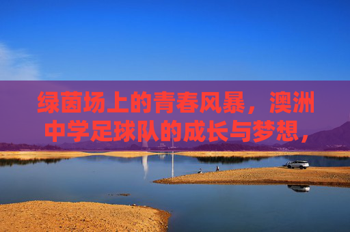 绿茵场上的青春风暴,澳洲中学足球队的成长与梦想,绿茵青春风暴,澳洲中学足球队的成长与梦想 绿茵场上的青春风暴,澳洲中学足球队的成长与梦想,绿茵青春风暴,澳洲中学足球队的成长与梦想