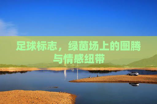 足球标志，绿茵场上的图腾与情感纽带