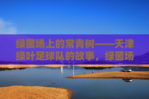 绿茵场上的常青树——天津绿叶足球队的故事，绿茵场上的常青树，天津绿叶足球队的故事