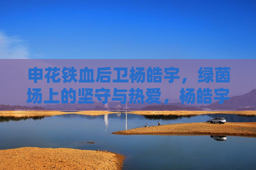 申花铁血后卫杨皓宇,绿茵场上的坚守与热爱,杨皓宇,申花铁血后卫的绿茵坚守与热爱 申花铁血后卫杨皓宇,绿茵场上的坚守与热爱,杨皓宇,申花铁血后卫的绿茵坚守与热爱