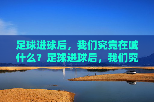 足球进球后，我们究竟在喊什么？足球进球后，我们究竟在喊什么？