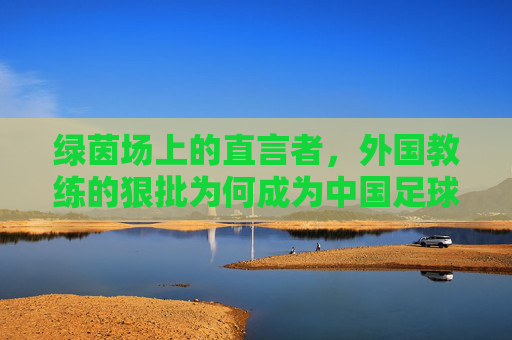 绿茵场上的直言者,外国教练的狠批为何成为中国足球的清醒剂?外国教练的狠批,中国足球的清醒剂 绿茵场上的直言者,外国教练的狠批为何成为中国足球的清醒剂?外国教练的狠批,中国足球的清醒剂