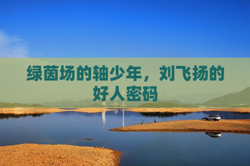 绿茵场的轴少年，刘飞扬的好人密码