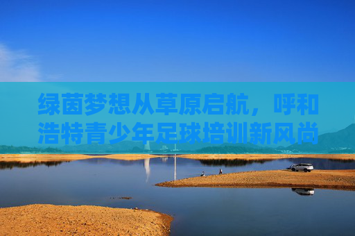 绿茵梦想从草原启航，呼和浩特青少年足球培训新风尚，草原启航绿茵梦，呼和浩特青少年足球培训新风尚