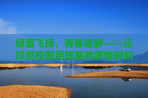绿茵飞扬，青春逐梦——记印尼校园足球赛的激情时刻，印尼校园足球赛，青春逐梦绿茵飞扬