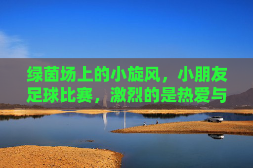 绿茵场上的小旋风，小朋友足球比赛，激烈的是热爱与成长！绿茵场上的小旋风，热爱与成长的小足球赛