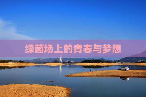 绿茵场上的青春与梦想 绿茵场上的青春与梦想