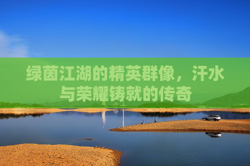 绿茵江湖的精英群像，汗水与荣耀铸就的传奇