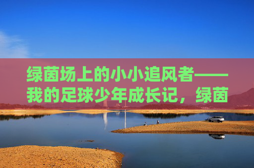 绿茵场上的小小追风者——我的足球少年成长记，绿茵追风，我的足球少年成长记
