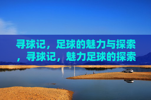 寻球记,足球的魅力与探索,寻球记,魅力足球的探索 寻球记,足球的魅力与探索,寻球记,魅力足球的探索