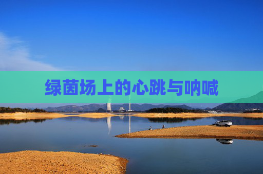 绿茵场上的心跳与呐喊 绿茵场上的心跳与呐喊