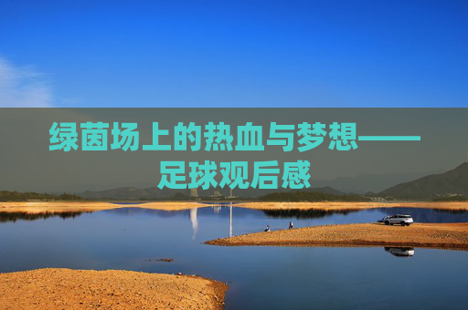 绿茵场上的热血与梦想——足球观后感 绿茵场上的热血与梦想——足球观后感
