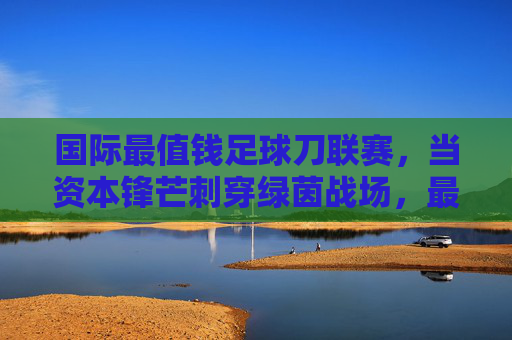 国际最值钱足球刀联赛,当资本锋芒刺穿绿茵战场,最值钱足球刀联赛,资本锋芒刺穿绿茵战场 国际最值钱足球刀联赛,当资本锋芒刺穿绿茵战场,最值钱足球刀联赛,资本锋芒刺穿绿茵战场