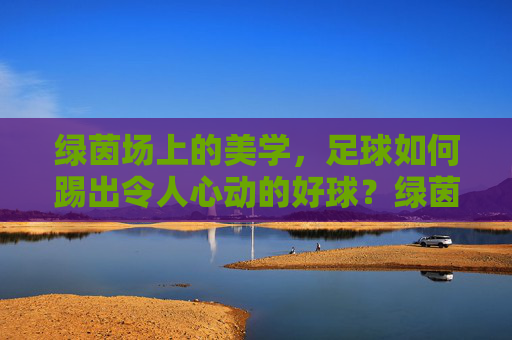绿茵场上的美学，足球如何踢出令人心动的好球？绿茵场上的美学，足球如何踢出心动好球？