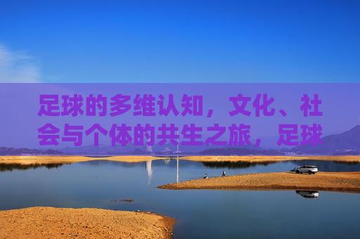 足球的多维认知，文化、社会与个体的共生之旅，足球的多维共生认知，文化、社会与个体的交融之旅