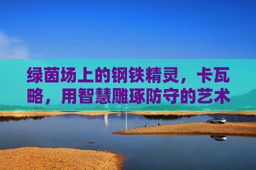 绿茵场上的钢铁精灵，卡瓦略，用智慧雕琢防守的艺术，绿茵场钢铁精灵，卡瓦略的防守艺术