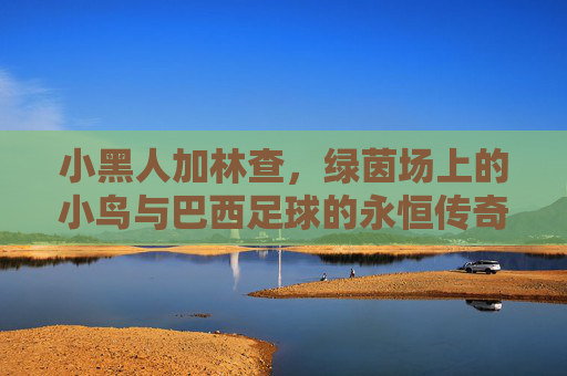 小黑人加林查,绿茵场上的小鸟与巴西足球的永恒传奇,绿茵小鸟,加林查与巴西足球的永恒传奇 小黑人加林查,绿茵场上的小鸟与巴西足球的永恒传奇,绿茵小鸟,加林查与巴西足球的永恒传奇