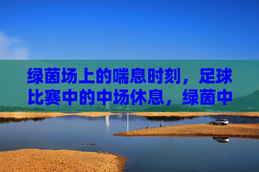 绿茵场上的喘息时刻,足球比赛中的中场休息,绿茵中场,足球比赛的喘息时刻 绿茵场上的喘息时刻,足球比赛中的中场休息,绿茵中场,足球比赛的喘息时刻